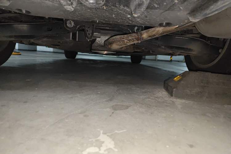 Used Toyota Corolla 2019 1.2T S-CVT GL Pioneer Edition Chassis Rear