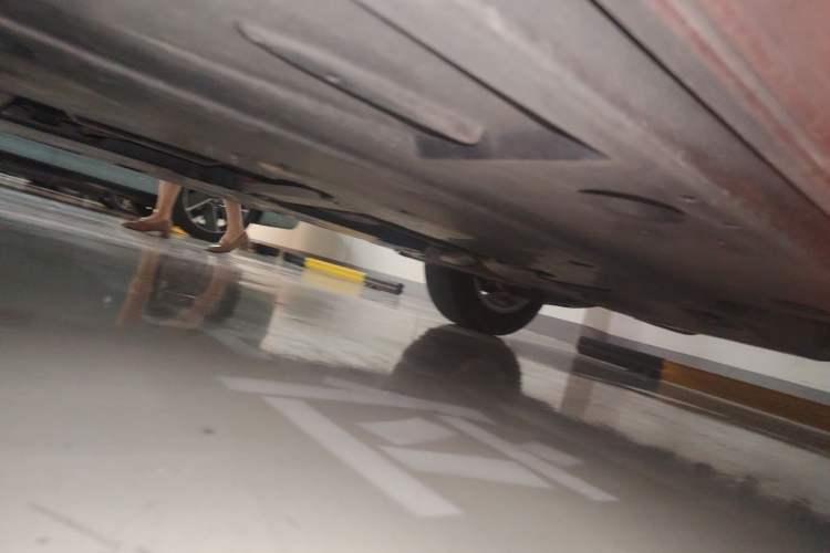 Used Toyota Corolla 2019 1.2T S-CVT GL Pioneer Edition Chassis Rear