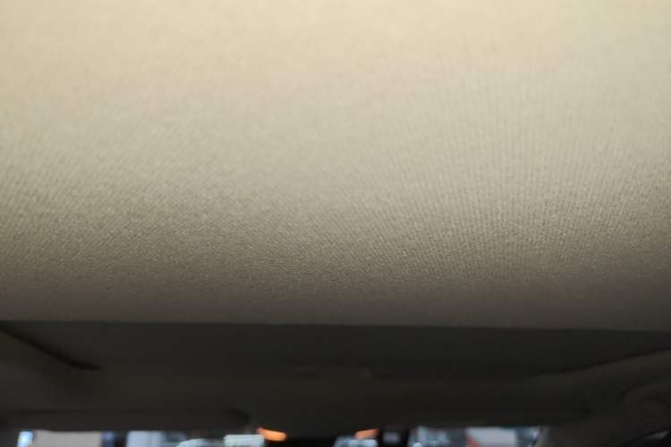 Used Toyota Corolla 2019 1.2T S-CVT GL-i Elite Edition Headliner