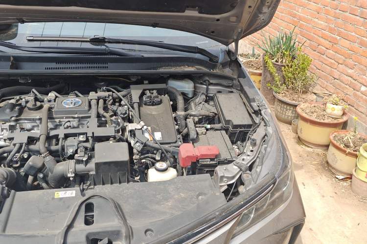 Used Toyota Corolla 2019 Dual-Engine 1.8L E-CVT GL-i Elite Edition Engine Bay Left