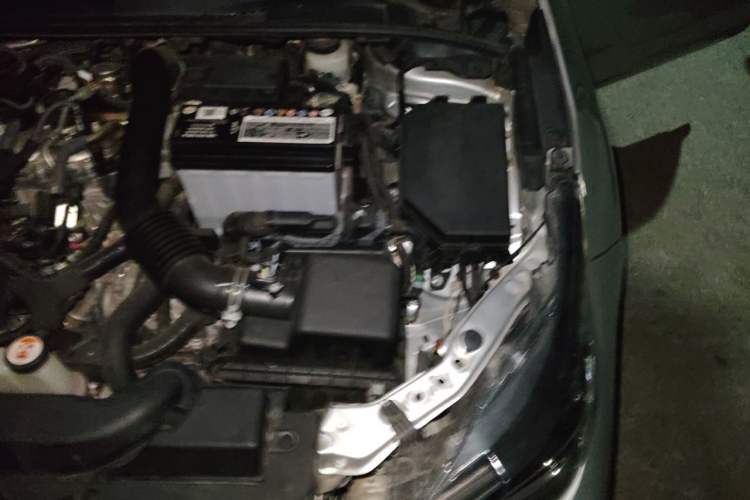 Used Toyota Corolla 2019 1.2T S-CVT GL-i Elite Edition Engine Bay Left