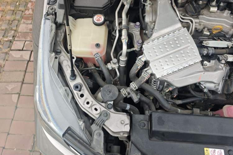 Used Toyota Corolla 2019 1.2T S-CVT GL-i Luxury Edition Engine Bay Right
