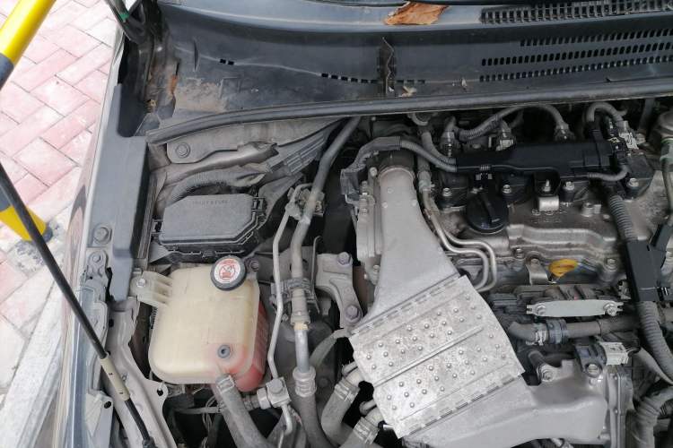 Used Toyota Corolla 2019 1.2T S-CVT GL-i Elite Edition Engine Bay Right