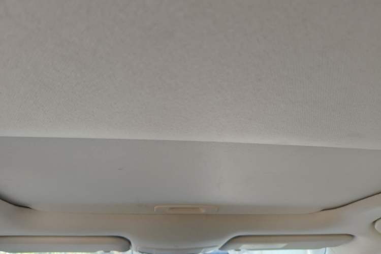 Used Toyota Corolla 2019 1.2T S-CVT GL-i Elite Edition Headliner