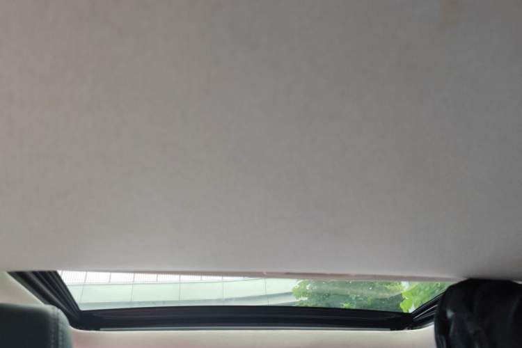 Used Toyota Corolla 2019 1.2T S-CVT GL-i Luxury Edition Headliner