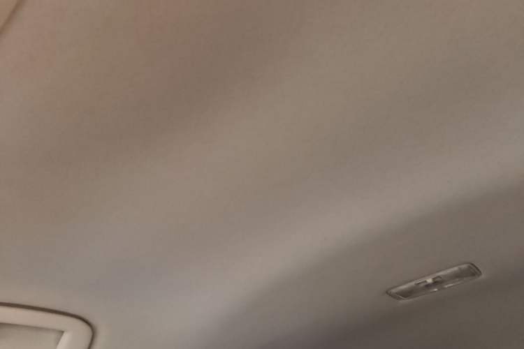 Used Toyota Corolla 2019 1.2T S-CVT GL Pioneer Edition Headliner