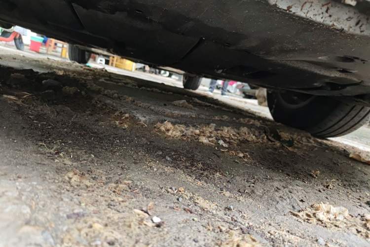 Used Toyota Corolla 2019 1.2T S-CVT GL-i Elite Edition Chassis Front