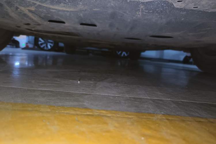 Used Toyota Corolla 2019 1.2T S-CVT GL-i Elite Edition Chassis Front
