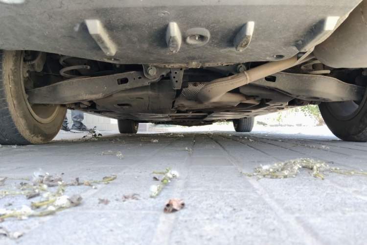 Used Toyota Corolla 2019 1.2T S-CVT GL Pioneer Edition Chassis Rear