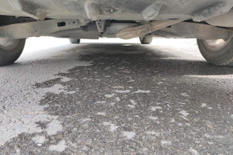 Used Toyota Corolla 2019 1.2T S-CVT GL-i Elite Edition Chassis Rear