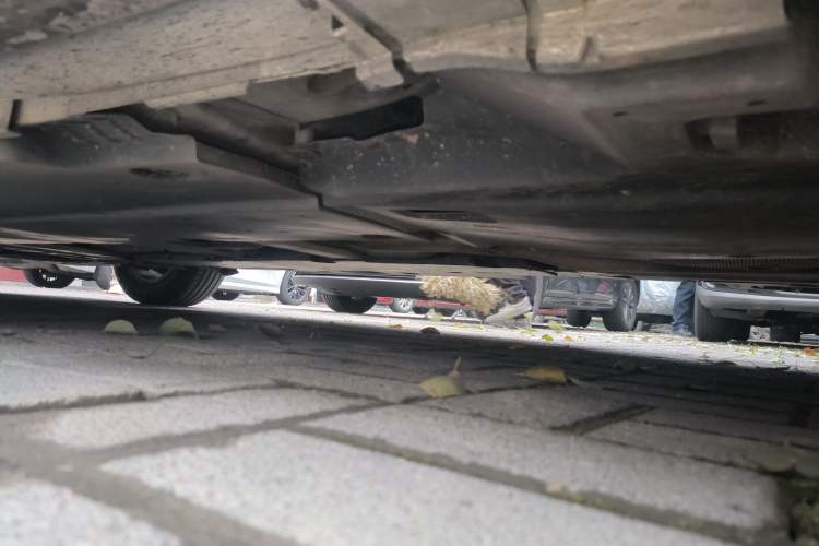 Used Toyota Corolla 2019 1.2T S-CVT GL-i Elite Edition Chassis Rear Left