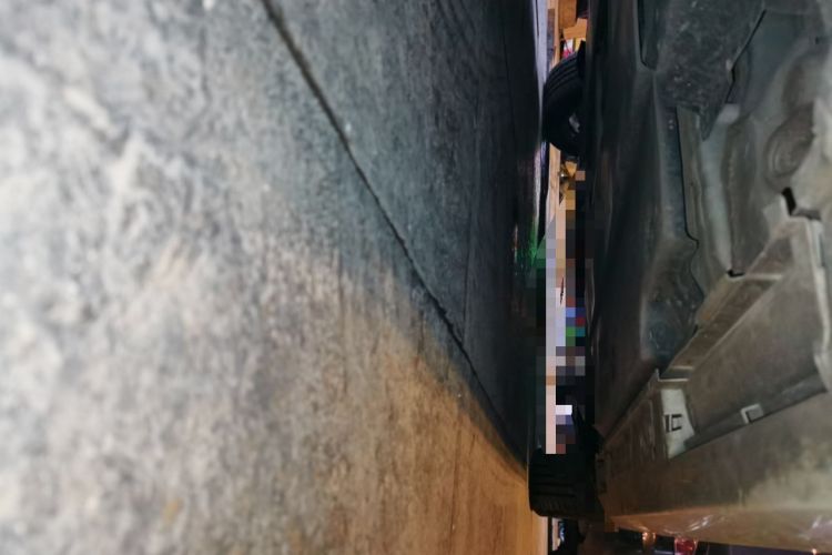 Used Toyota Corolla 2019 Dual-Engine 1.8L E-CVT GL-i Elite Edition Chassis Rear Right