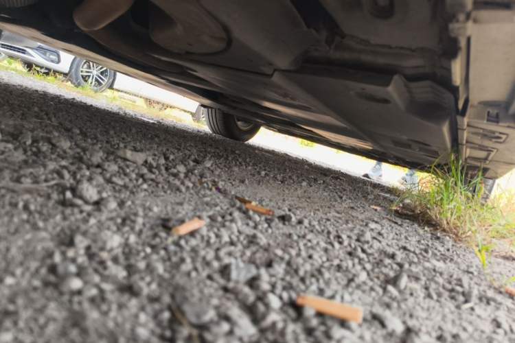 Used Toyota Corolla 2019 Dual-Engine 1.8L E-CVT GL-i Pioneer Edition Chassis Rear Right