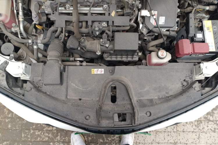 Used Toyota Corolla 2019 Dual-Engine 1.8L E-CVT GL-i Pioneer Edition Engine Bay