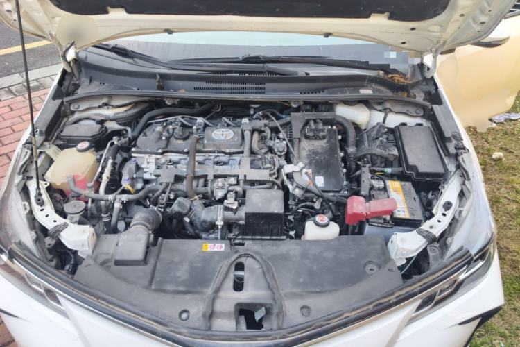 Used Toyota Corolla 2019 Dual-Engine 1.8L E-CVT GL-i Elite Edition Engine Bay