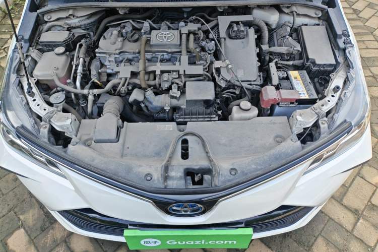 Used Toyota Corolla 2019 Dual-Engine 1.8L E-CVT GL-i Elite Edition Engine Bay