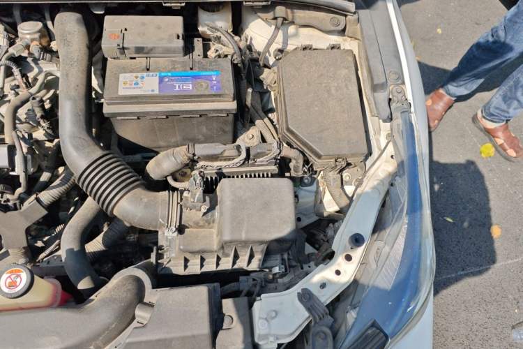 Used Toyota Corolla 2019 1.2T S-CVT GL-i Luxury Edition Engine Bay Left