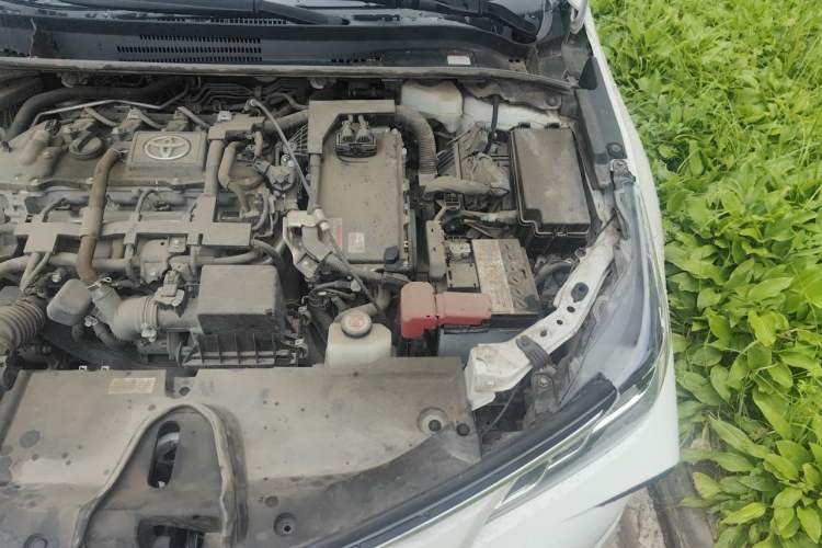 Used Toyota Corolla 2019 Dual-Engine 1.8L E-CVT GL-i Elite Edition Engine Bay Left