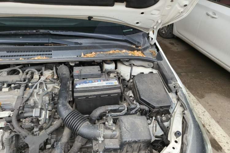 Used Toyota Corolla 2019 1.2T S-CVT GL-i Elite Edition Engine Bay Left