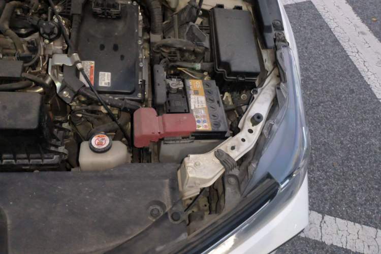 Used Toyota Corolla 2019 Dual-Engine 1.8L E-CVT GL-i Elite Edition Engine Bay Left