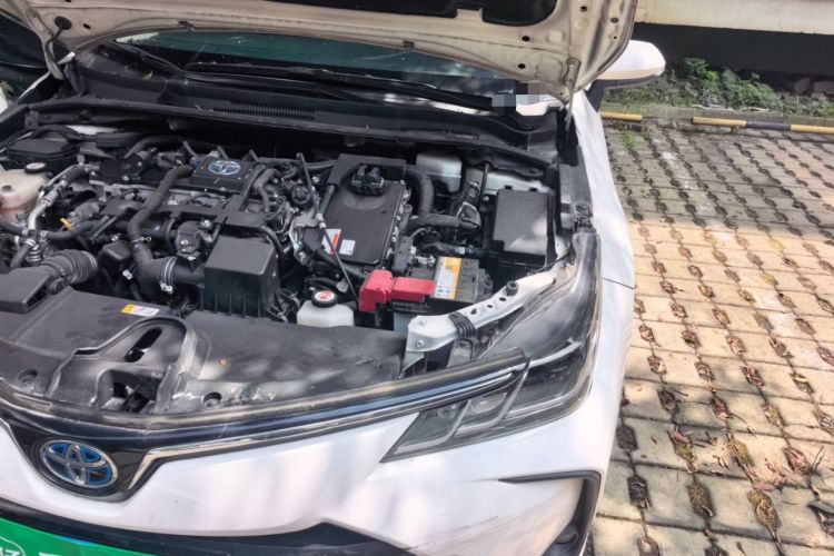 Used Toyota Corolla 2019 Dual-Engine 1.8L E-CVT GL-i Elite Edition Engine Bay Left