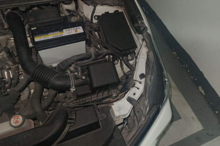 Used Toyota Corolla 2019 1.2T S-CVT GL-i Elite Edition Engine Bay Left