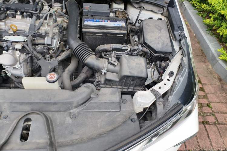 Used Toyota Corolla 2019 1.2T S-CVT GL Pioneer Edition Engine Bay Left