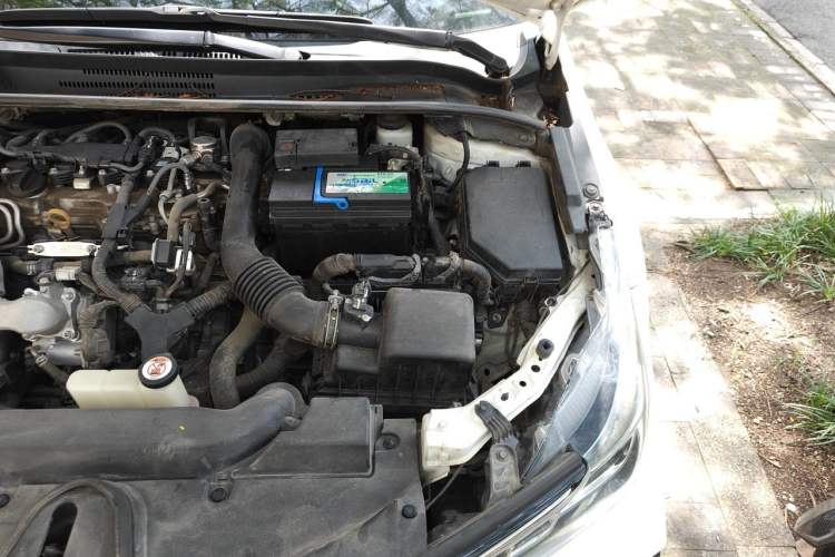 Used Toyota Corolla 2019 1.2T S-CVT GL-i Elite Edition Engine Bay Left
