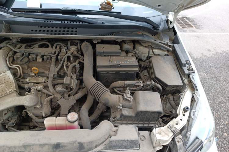 Used Toyota Corolla 2019 1.2T S-CVT GL-i Elite Edition Engine Bay Left