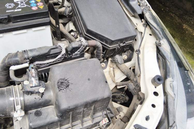 Used Toyota Corolla 2019 1.2T S-CVT GL-i Luxury Edition Engine Bay Left