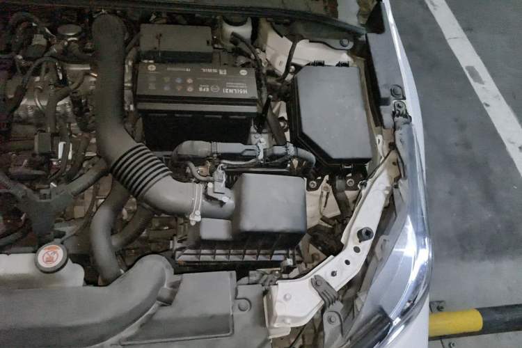 Used Toyota Corolla 2019 1.2T S-CVT GL-i Elite Edition Engine Bay Left
