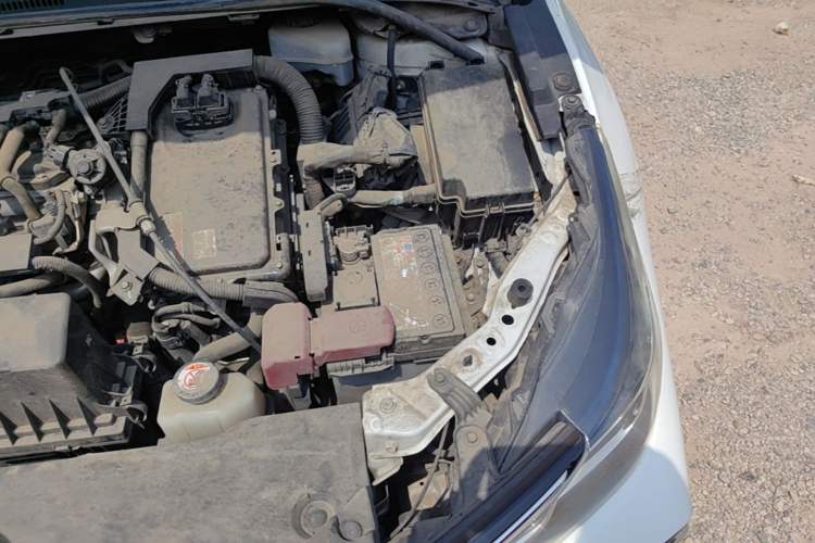 Used Toyota Corolla 2019 Dual-Engine 1.8L E-CVT GL-i Elite Edition Engine Bay Left