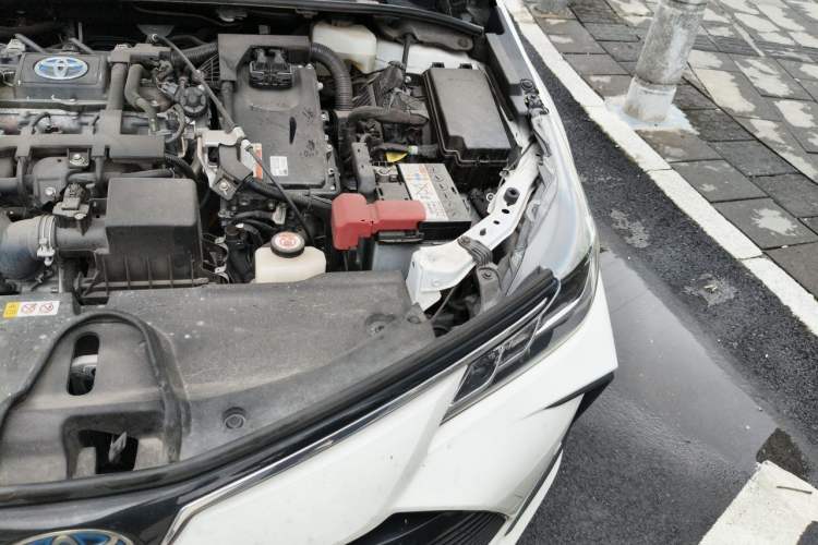 Used Toyota Corolla 2019 Dual-Engine 1.8L E-CVT GL-i Elite Edition Engine Bay Left