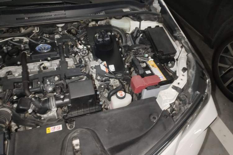 Used Toyota Corolla 2019 Dual-Engine 1.8L E-CVT GL-i Elite Edition Engine Bay Left