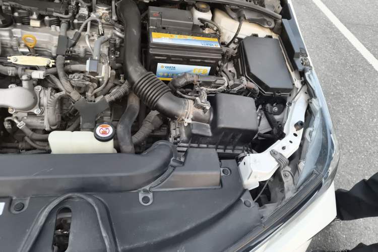 Used Toyota Corolla 2019 1.2T S-CVT GL Pioneer Edition Engine Bay Left