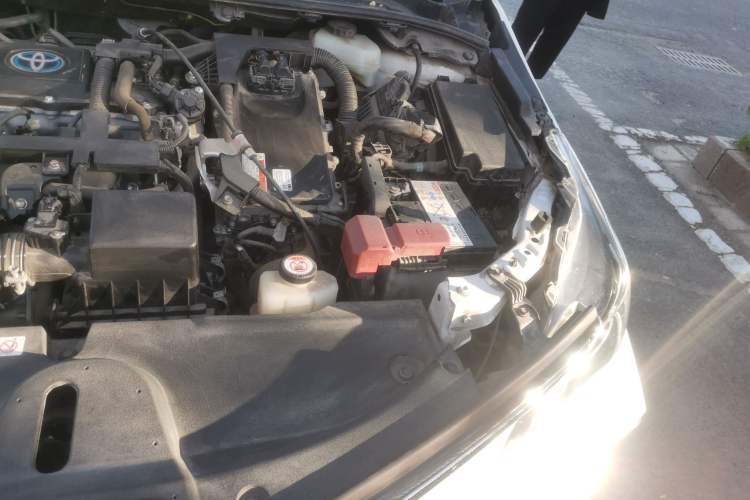 Used Toyota Corolla 2019 Dual-Engine 1.8L E-CVT GL-i Elite Edition Engine Bay Left