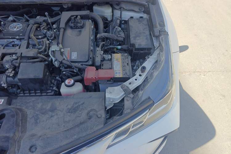 Used Toyota Corolla 2019 Dual-Engine 1.8L E-CVT GL-i Elite Edition Engine Bay Left
