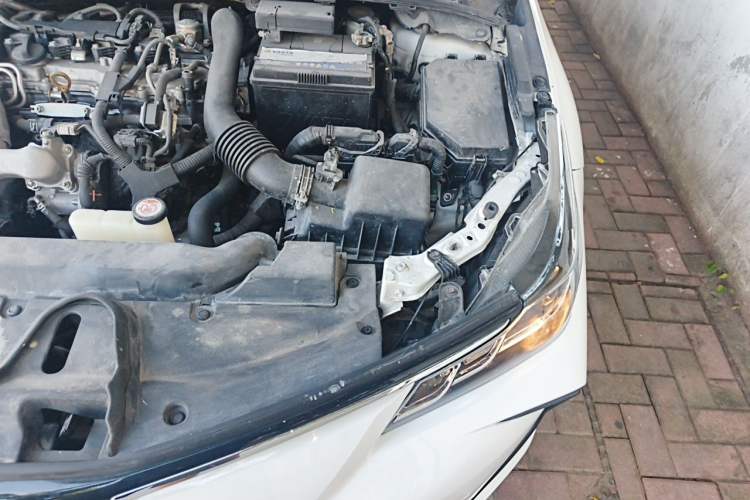 Used Toyota Corolla 2019 1.2T S-CVT GL-i Elite Edition Engine Bay Left