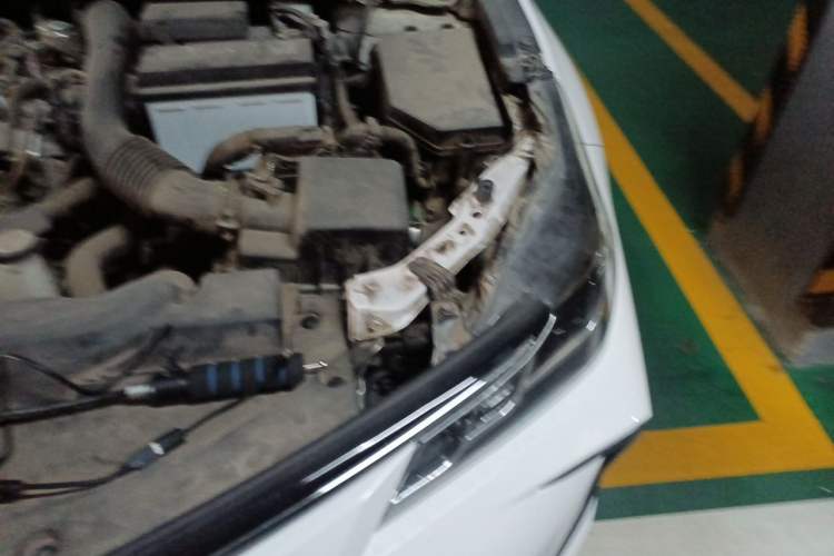Used Toyota Corolla 2019 1.2T S-CVT GL-i Elite Edition Engine Bay Left