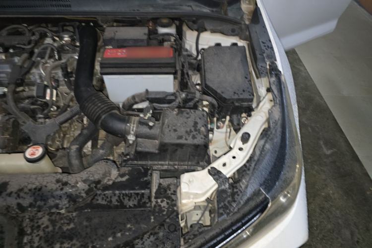 Used Toyota Corolla 2019 1.2T S-CVT GL-i Elite Edition Engine Bay Left
