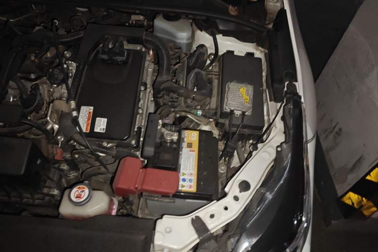 Used Toyota Corolla 2019 Dual-Engine 1.8L E-CVT GL-i Elite Edition Engine Bay Left