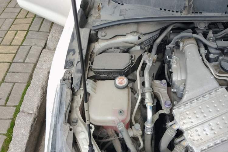 Used Toyota Corolla 2019 1.2T S-CVT GL Pioneer Edition Engine Bay Left