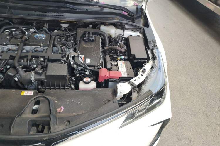 Used Toyota Corolla 2019 Dual-Engine 1.8L E-CVT GL-i Elite Edition Engine Bay Left