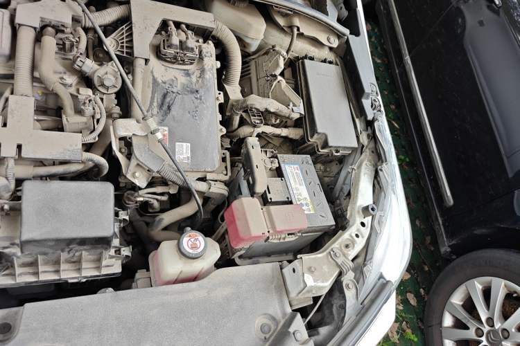 Used Toyota Corolla 2019 Dual-Engine 1.8L E-CVT GL-i Elite Edition Engine Bay Left