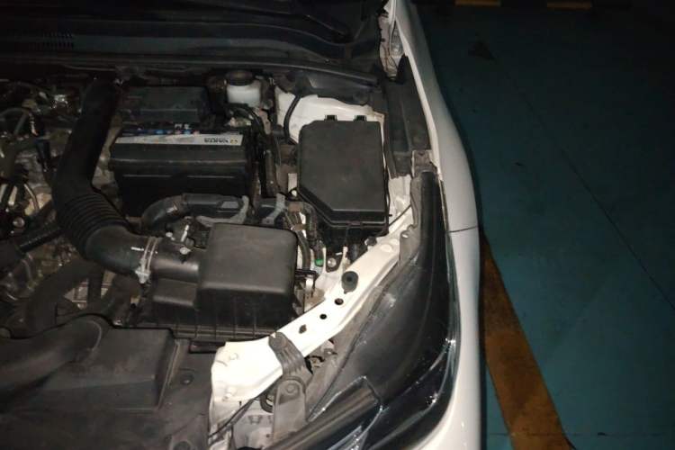Used Toyota Corolla 2019 1.2T S-CVT GL-i Luxury Edition Engine Bay Left