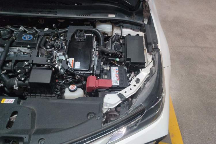 Used Toyota Corolla 2019 Dual-Engine 1.8L E-CVT GL-i Elite Edition Engine Bay Left