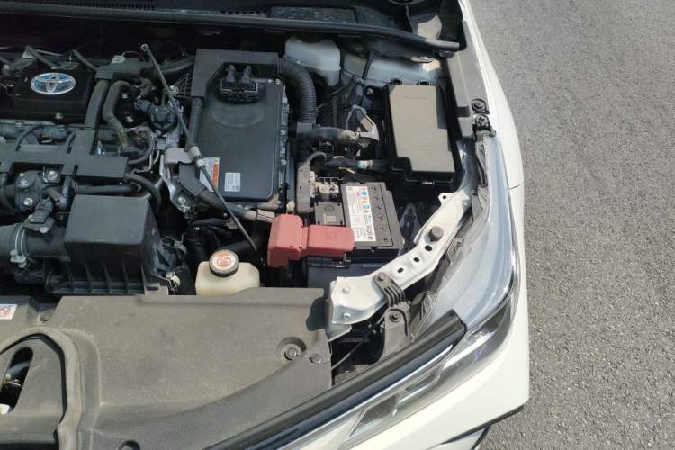 Used Toyota Corolla 2019 Dual-Engine 1.8L E-CVT GL-i Elite Edition Engine Bay Left