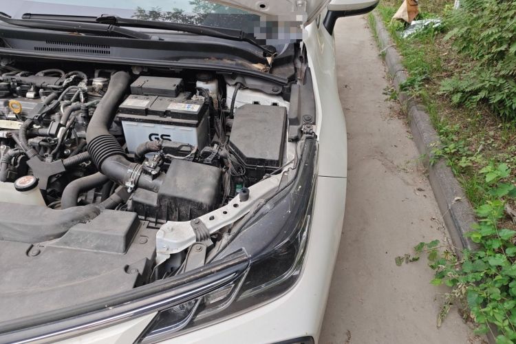 Used Toyota Corolla 2019 1.2T S-CVT GL-i Luxury Edition Engine Bay Left