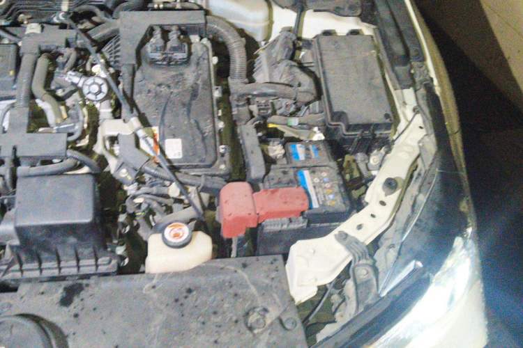 Used Toyota Corolla 2019 Dual-Engine 1.8L E-CVT GL-i Elite Edition Engine Bay Left