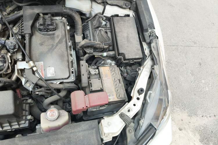 Used Toyota Corolla 2019 Dual-Engine 1.8L E-CVT GL-i Elite Edition Engine Bay Left